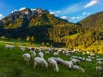 pieniny-szczawnica.jpg