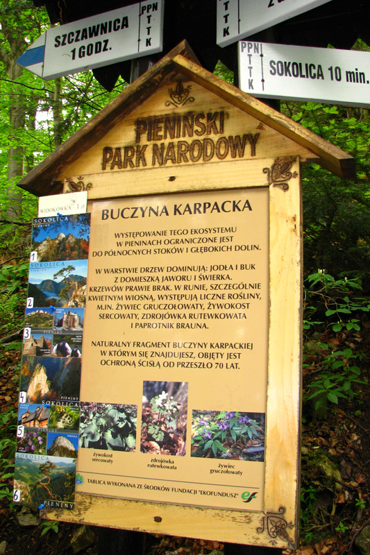 Buczyna Karpacka - tablica informacyjna PPN